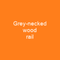Grey-necked wood rail