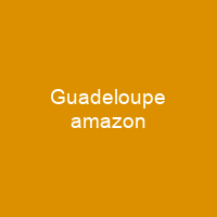 Guadeloupe amazon