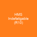 HMS Indefatigable (R10)