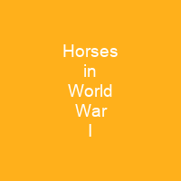 Horses in World War I