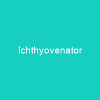 Ichthyovenator