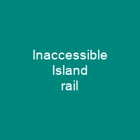 Inaccessible Island rail