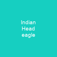Indian Head eagle