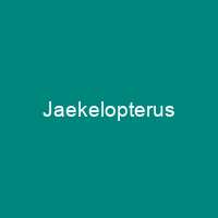 Jaekelopterus
