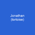 Jonathan (tortoise)