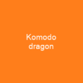 Komodo dragon