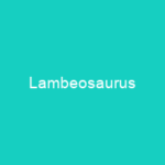 Lambeosaurus