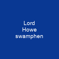 Lord Howe swamphen