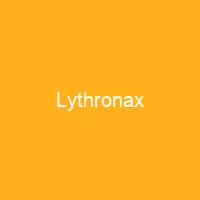 Lythronax