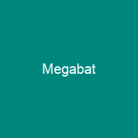 Megabat