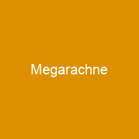Megarachne