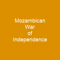 Mozambican War of Independence
