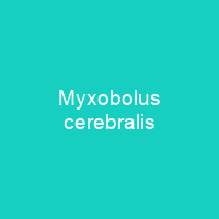 Myxobolus cerebralis
