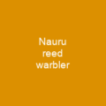 Nauru reed warbler