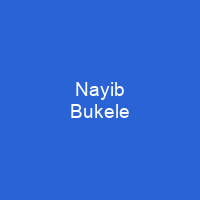 Nayib Bukele