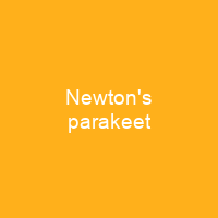 Newton's parakeet