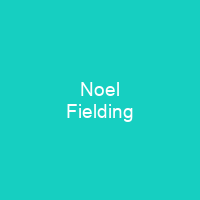 Noel Fielding