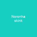 Noronha skink