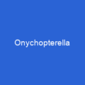 Onychopterella