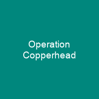 Operation Copperhead
