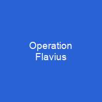 Operation Flavius