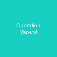 Operation Mascot