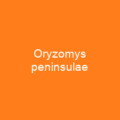 Oryzomys peninsulae