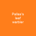 Pallas's leaf warbler