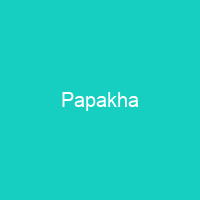 Papakha