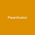 Paranthodon