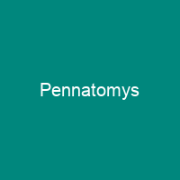 Pennatomys