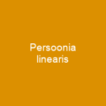 Persoonia linearis