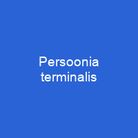 Persoonia terminalis
