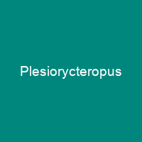 Plesiorycteropus