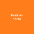 Poitevin horse