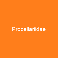 Procellariidae