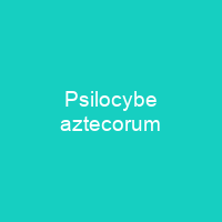 Psilocybe aztecorum