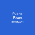 Puerto Rican amazon