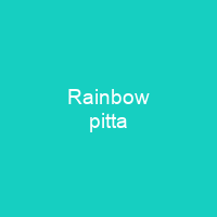 Rainbow pitta