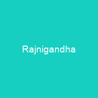 Rajnigandha