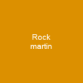Rock martin