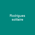 Rodrigues solitaire