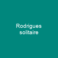 Rodrigues solitaire
