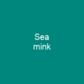 Sea mink