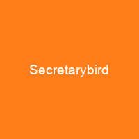 Secretarybird