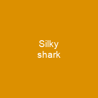 Silky shark