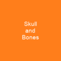 List of bones of the human skeleton
