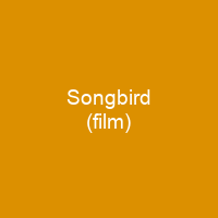 Songbird (film)