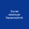 Soviet destroyer Nezamozhnik