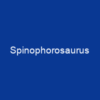 Spinophorosaurus